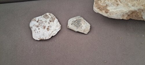20250825_100637.jpg