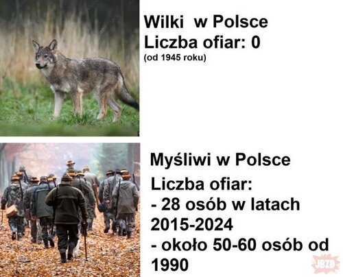 BEOoRJFFPIGoOsbdbj19pIEuSshlfbAh.jpg