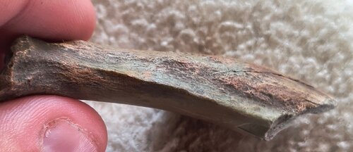 IMG_20250829_161938283_HDR~2.jpg