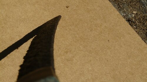 P1290201.JPG
