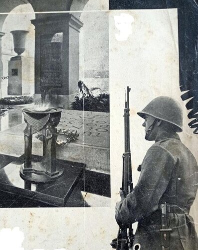 nn zollnierz.JPG