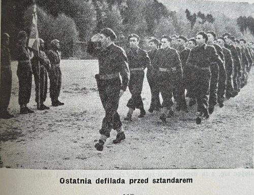 spad3.jpg
