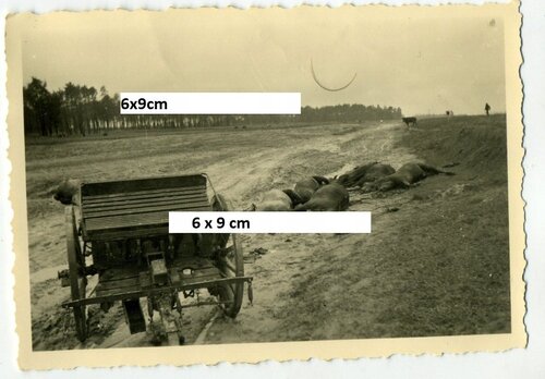 wrzesien-1939-pobojowisko-zniszczony-przodek-artyleryjski-WP-zabite-konie.jpg