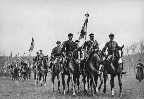 15ul sztand.jpg