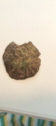 20250928_084729.jpg