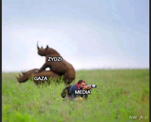 IUNzVw5bTM4HEcwz.jpg