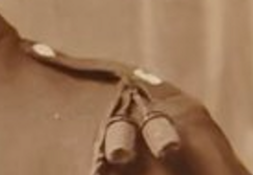 image.thumb.png.adf2db71d1359f187e5b955197e38aee.png