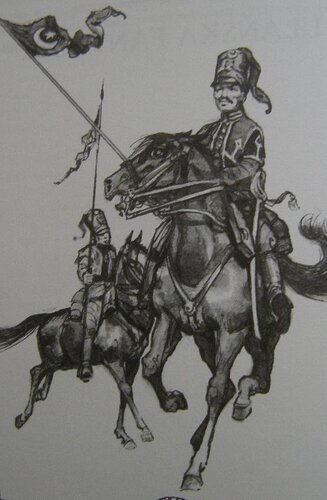 kobyl5.JPG