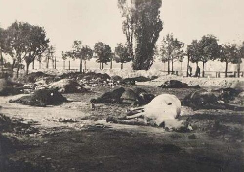kon wwa2.JPG