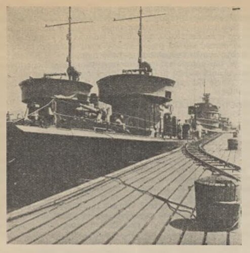 mar ptasz 37r.JPG