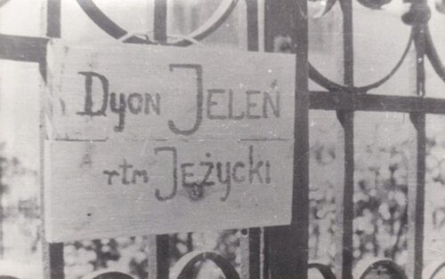 7ul 44rb.JPG