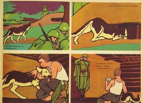 cz1j.JPG
