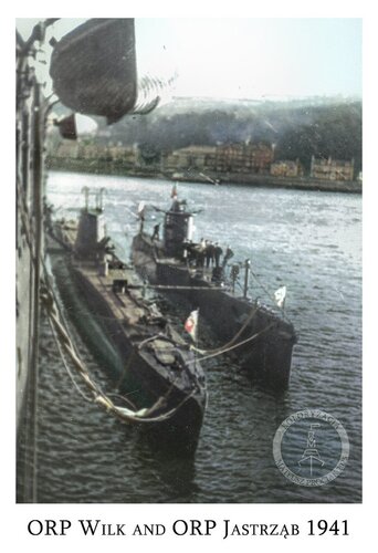 jastrzab.jpg