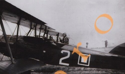 lot s sam1.JPG