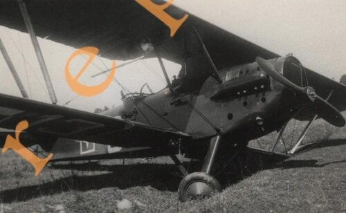 lot s sam3.JPG