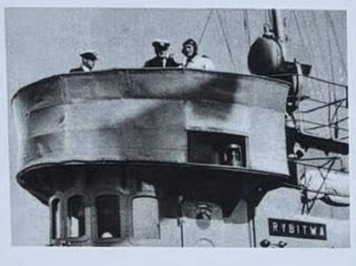 rybitwa 37r.JPG