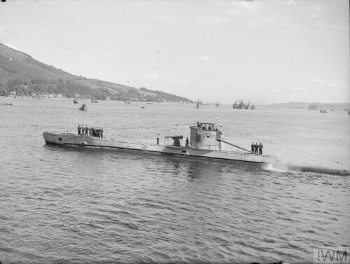 sokol grenoock 42r.jpg