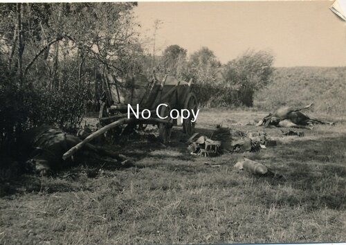 s-l1600 - 2025-11-20T000534.829.jpg