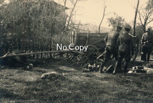 s-l1600 - 2025-11-20T000539.649.jpg