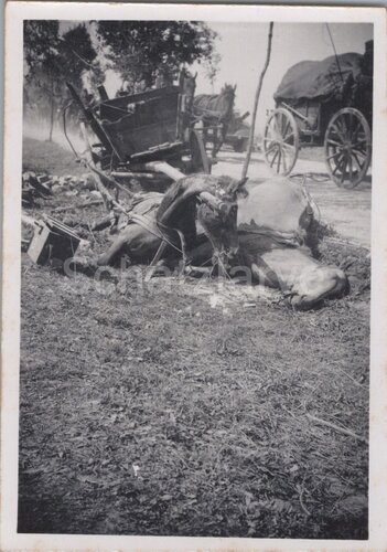 s-l1600 - 2025-11-20T000554.581.jpg