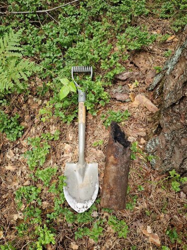 WhatsApp Image 2025-12-03 at 15.16.13 (3).jpeg