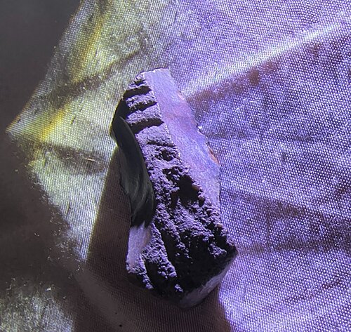 IMG_20260625_215657737_HDR~2.jpg