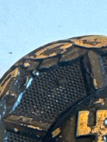 IMG_6518.jpeg