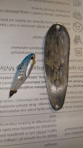 photo_2024-09-10_21-40-17.jpg