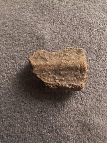 IMG_20260728_191917248_HDR.jpg