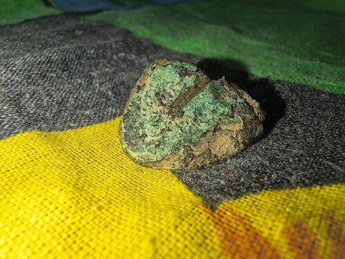 IMG_20260817_145247658_HDR.jpg