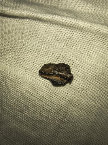 IMG_20260820_223519992_HDR.jpg