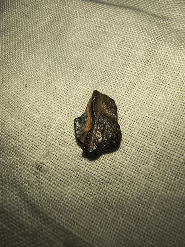 IMG_20260820_223607025_HDR.jpg