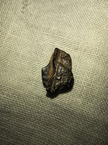 IMG_20260820_225636484_HDR.jpg