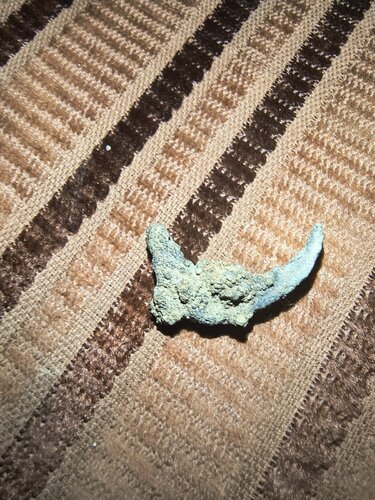 IMG_20260824_211027487_HDR.jpg