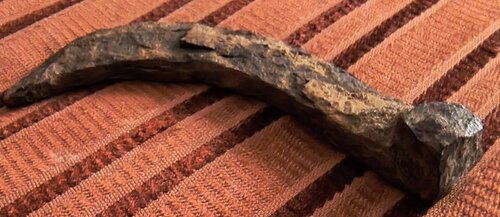 IMG_20260827_183639236_HDR~2.jpg