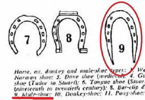 mule shoe.jpg