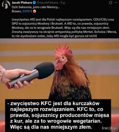 cU9IMYE0LIhLdqLX.jpg