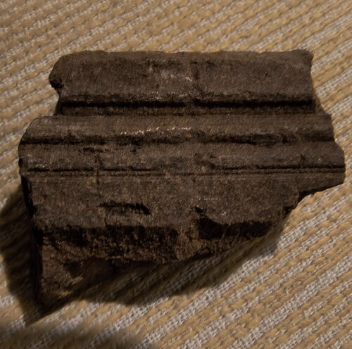 IMG_20261006_201340186_HDR~2.jpg