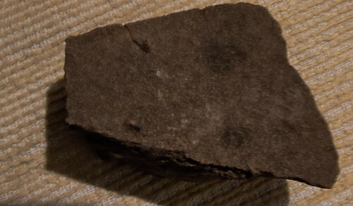 IMG_20261006_201350317_HDR~2.jpg